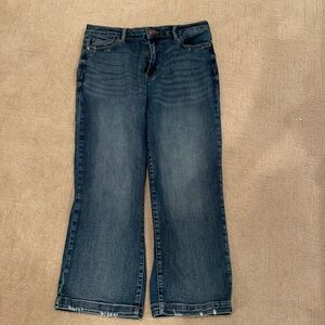 Judy Blue wide leg jeans 13/31